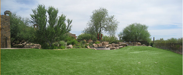 commercial maintenance services grass mowing tree trimming landscaping scottsdale arizona