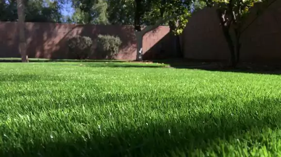 grass lawn mowing maintenance residential landscaping services east valley arizona