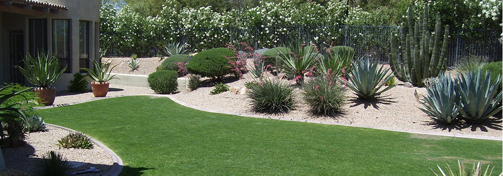 residential plants grass xeriscaping trees xeriscape landscape design phoenix az